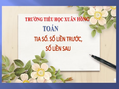 Bài giảng Toán 2 - Bài 2: Tia số. Số liền trước, số liền sau (Tiết 1) - Mai Thị Thuận