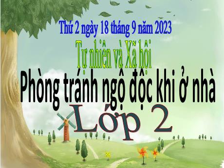 Bài giảng Tự nhiên & Xã hội 2 - Bài: Phòng tránh ngộ độc khi ở nhà - Năm học 2023-2024 - Phan Thị Loan